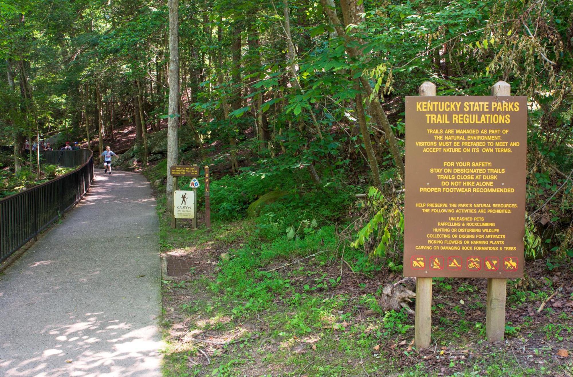 Cumberland Falls State Resort Park Honeybee エクステリア 写真