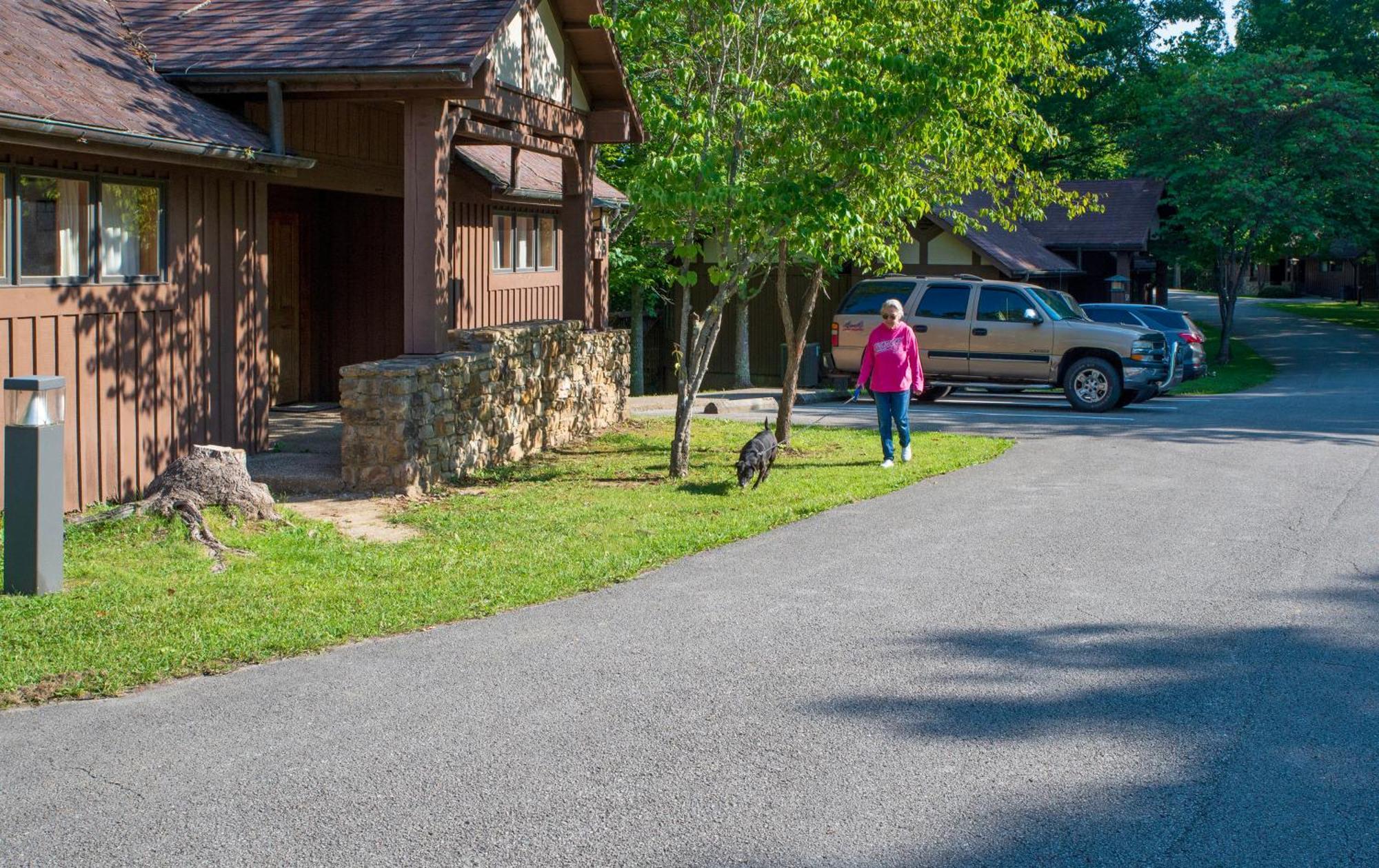 Cumberland Falls State Resort Park Honeybee エクステリア 写真