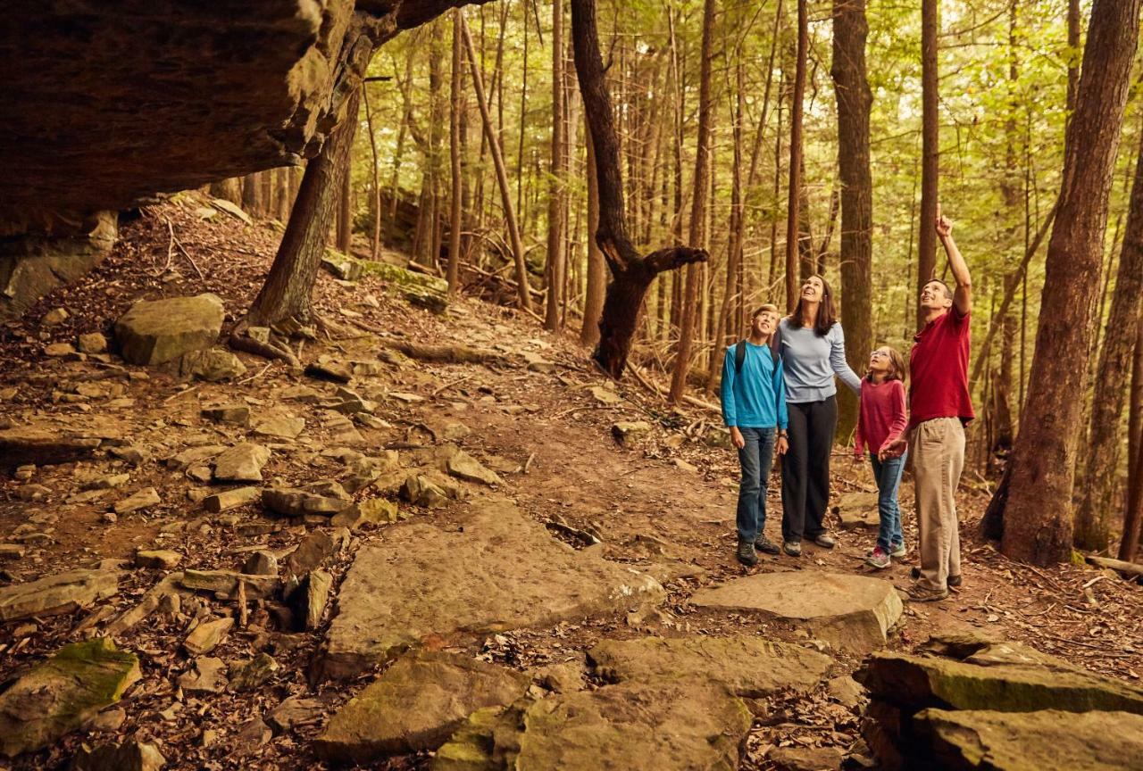 Cumberland Falls State Resort Park Honeybee エクステリア 写真